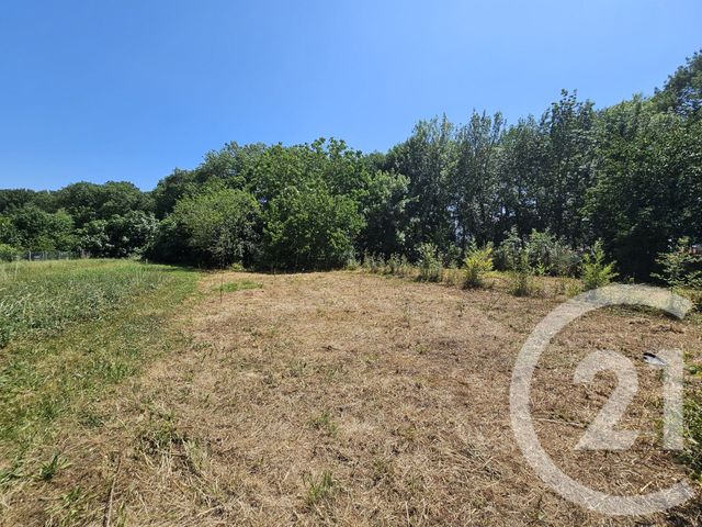 terrain à vendre - 1152.0 m2 - PLAISANCE DU TOUCH - 31 - MIDI-PYRENEES - Century 21 Open Immo