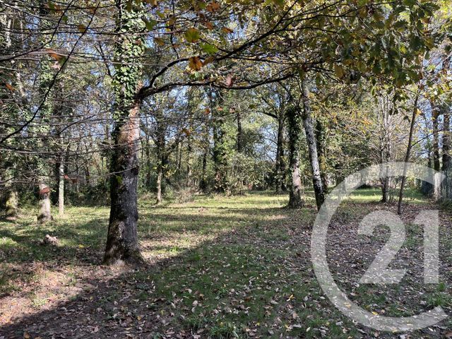 terrain à vendre - 826.0 m2 - BOULOC - 31 - MIDI-PYRENEES - Century 21 Open Immo