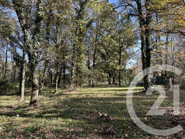 terrain à vendre - 826.0 m2 - BOULOC - 31 - MIDI-PYRENEES - Century 21 Open Immo