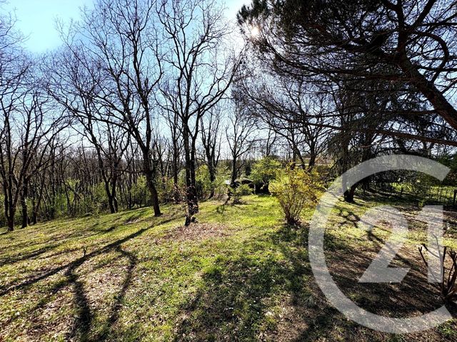 maison à louer - 5 pièces - 160.35 m2 - TOURNEFEUILLE - 31 - MIDI-PYRENEES - Century 21 Open Immo