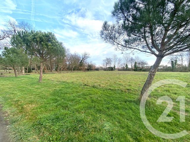 maison à louer - 5 pièces - 139.0 m2 - FROUZINS - 31 - MIDI-PYRENEES - Century 21 Open Immo